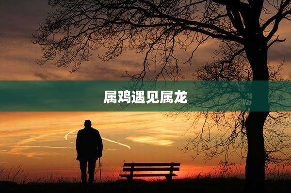 属鸡遇见属龙