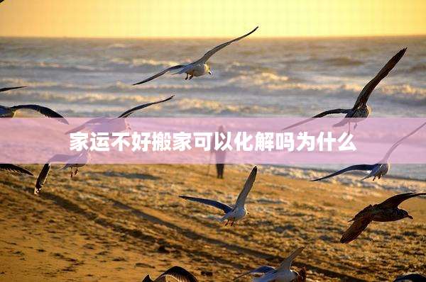 家运不好搬家可以化解吗为什么