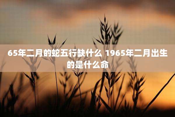 65年二月的蛇五行缺什么 1965年二月出生的是什么命