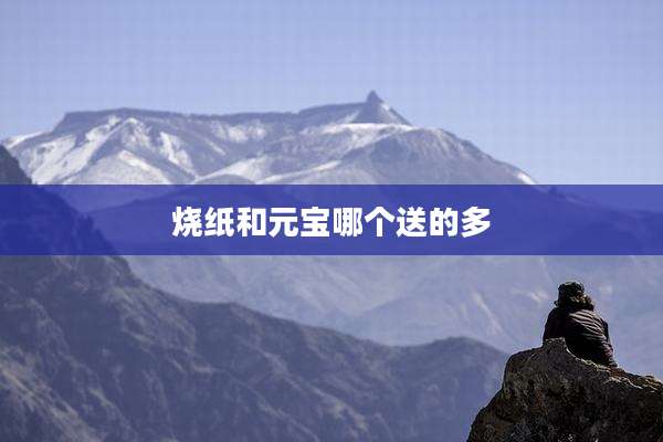 烧纸和元宝哪个送的多