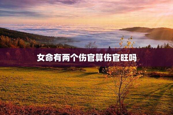 女命有两个伤官算伤官旺吗