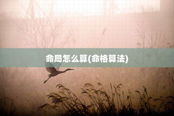 命局怎么算(命格算法)