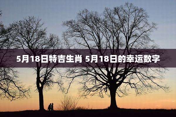 5月18日特吉生肖 5月18日的幸运数字