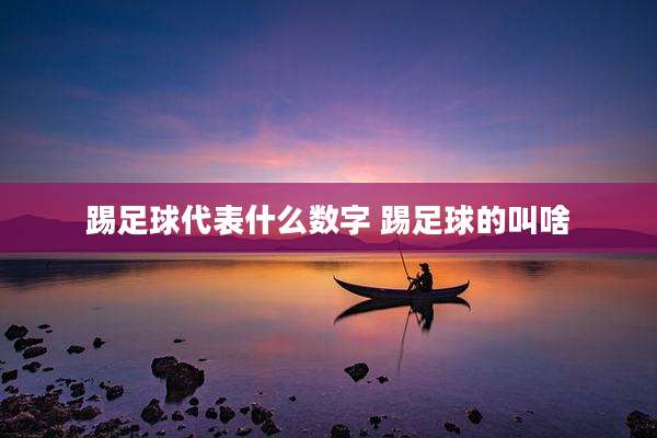 踢足球代表什么数字 踢足球的叫啥