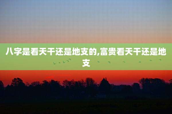 八字是看天干还是地支的,富贵看天干还是地支