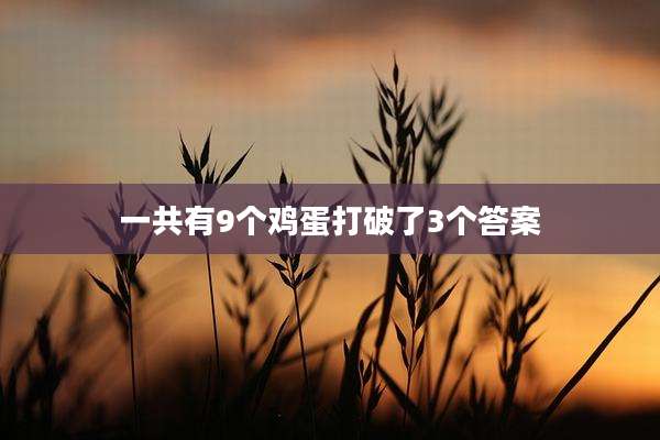 一共有9个鸡蛋打破了3个答案