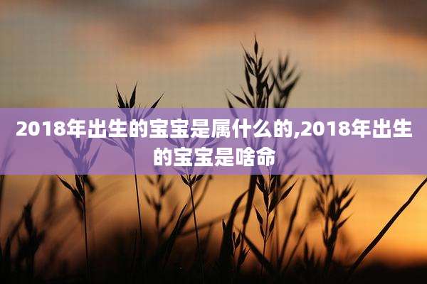 2018年出生的宝宝是属什么的,2018年出生的宝宝是啥命