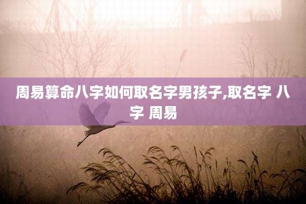 周易算命八字如何取名字男孩子,取名字 八字 周易