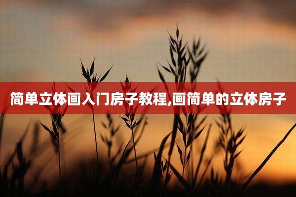 简单立体画入门房子教程,画简单的立体房子
