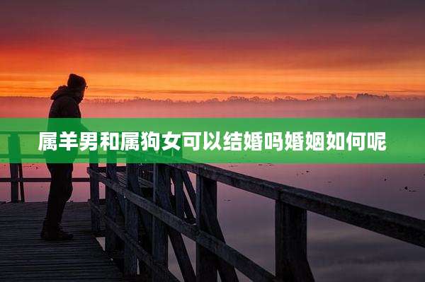 属羊男和属狗女可以结婚吗婚姻如何呢