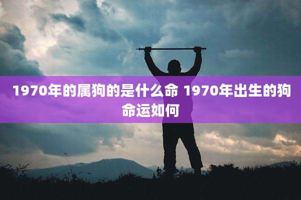 1970年的属狗的是什么命 1970年出生的狗命运如何