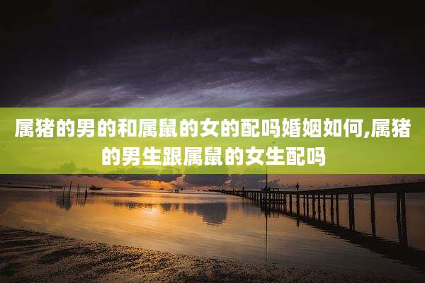 属猪的男的和属鼠的女的配吗婚姻如何,属猪的男生跟属鼠的女生配吗