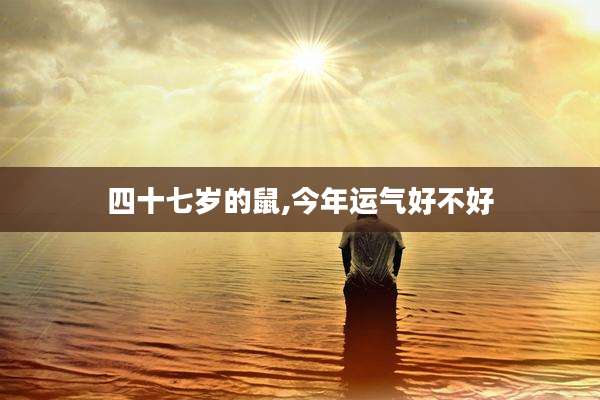 四十七岁的鼠,今年运气好不好