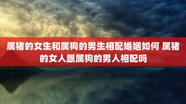 属猪的女生和属狗的男生相配婚姻如何 属猪的女人跟属狗的男人相配吗