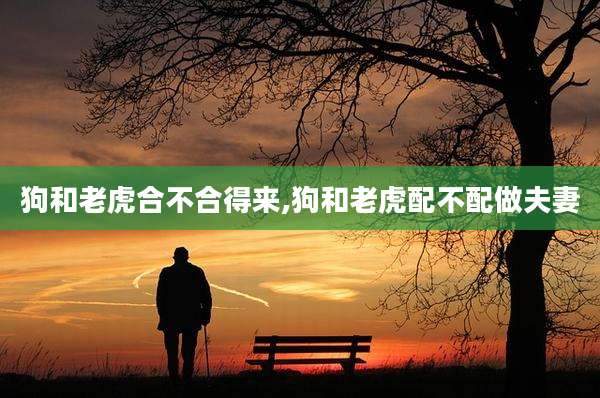 狗和老虎合不合得来,狗和老虎配不配做夫妻