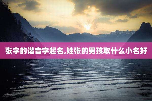 张字的谐音字起名,姓张的男孩取什么小名好