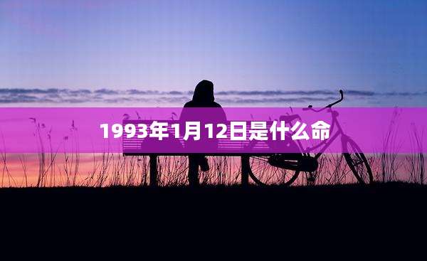 1993年1月12日是什么命