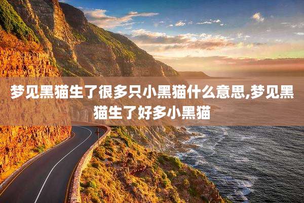 梦见黑猫生了很多只小黑猫什么意思,梦见黑猫生了好多小黑猫