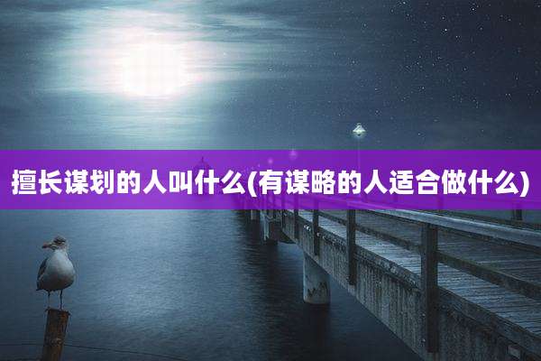 擅长谋划的人叫什么(有谋略的人适合做什么)