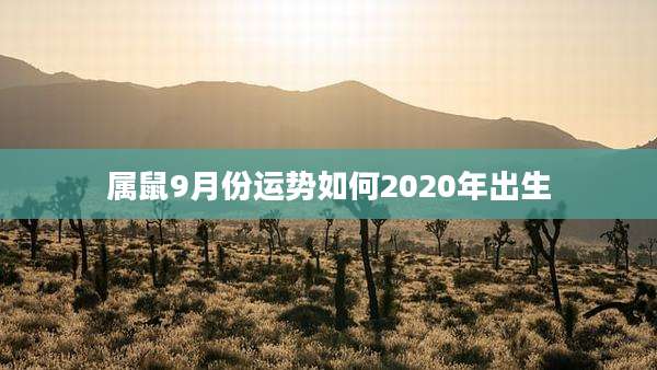 属鼠9月份运势如何2020年出生