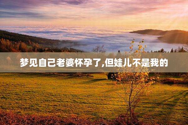 梦见自己老婆怀孕了,但娃儿不是我的