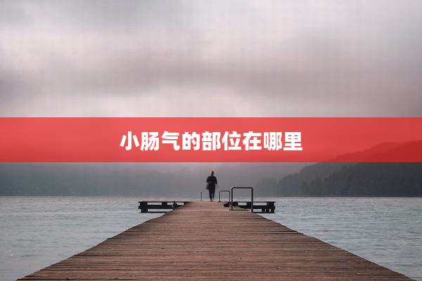 小肠气的部位在哪里