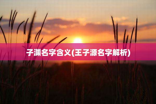 子渊名字含义(王子源名字解析)