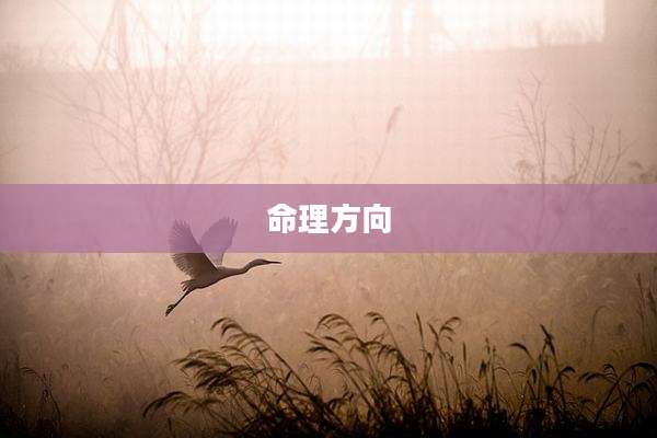 命理方向