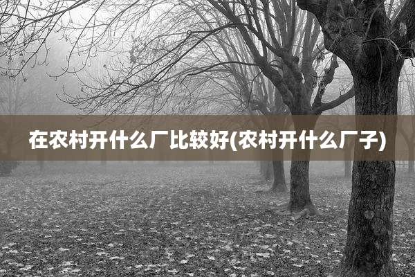 在农村开什么厂比较好(农村开什么厂子)