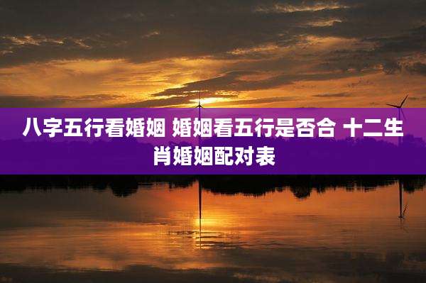 八字五行看婚姻 婚姻看五行是否合 十二生肖婚姻配对表