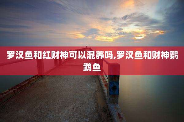 罗汉鱼和红财神可以混养吗,罗汉鱼和财神鹦鹉鱼