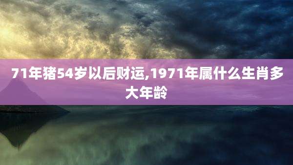 71年猪54岁以后财运,1971年属什么生肖多大年龄