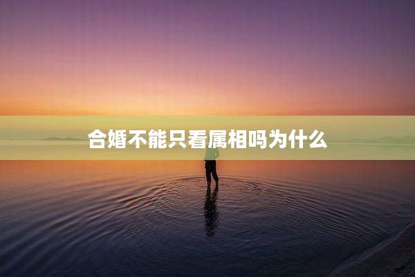 合婚不能只看属相吗为什么