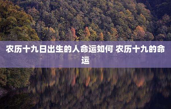 农历十九日出生的人命运如何 农历十九的命运