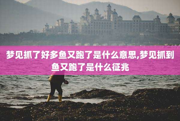 梦见抓了好多鱼又跑了是什么意思,梦见抓到鱼又跑了是什么征兆