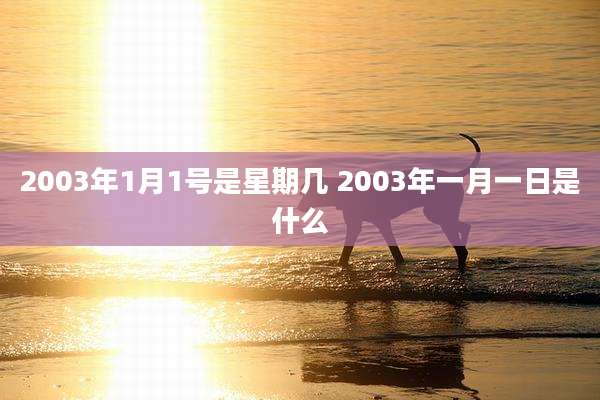 2003年1月1号是星期几 2003年一月一日是什么