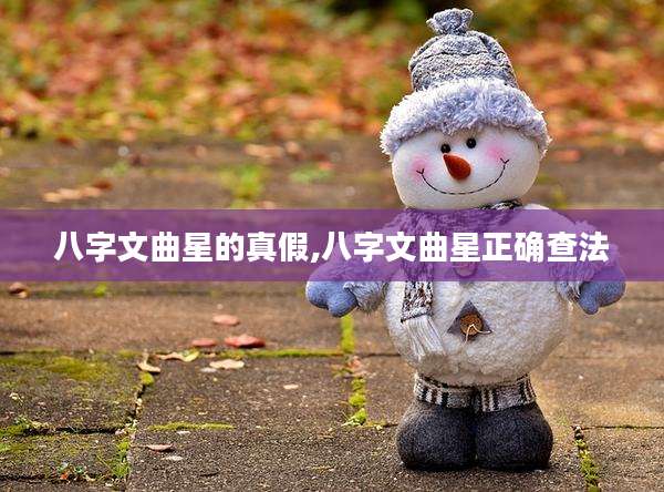 八字文曲星的真假,八字文曲星正确查法