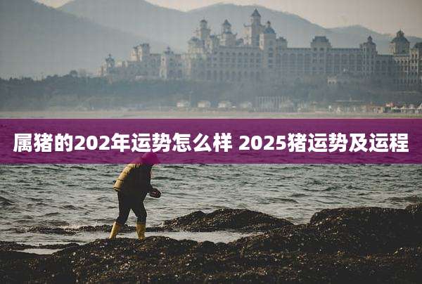 属猪的202年运势怎么样 2025猪运势及运程
