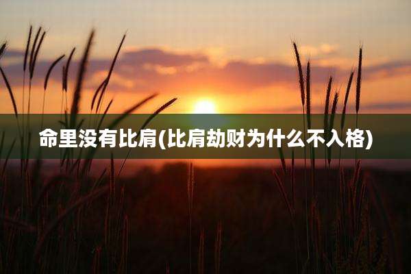 命里没有比肩(比肩劫财为什么不入格)