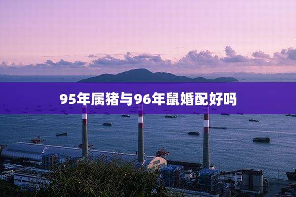 95年属猪与96年鼠婚配好吗