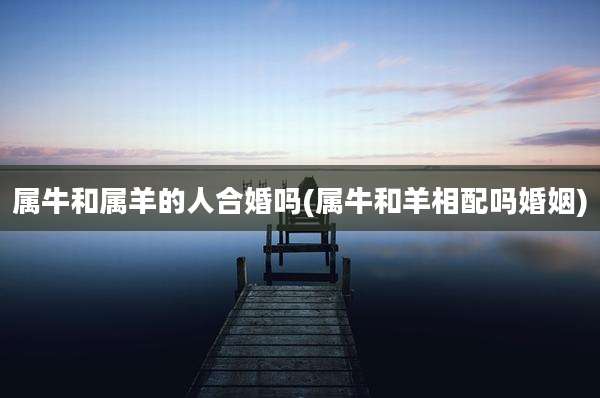 属牛和属羊的人合婚吗(属牛和羊相配吗婚姻)
