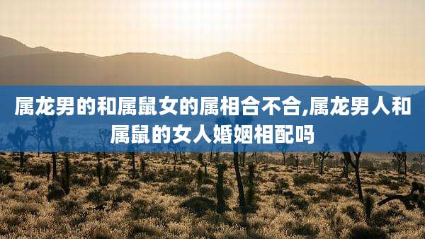 属龙男的和属鼠女的属相合不合,属龙男人和属鼠的女人婚姻相配吗