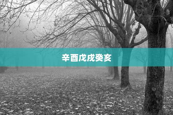 辛酉戊戌癸亥
