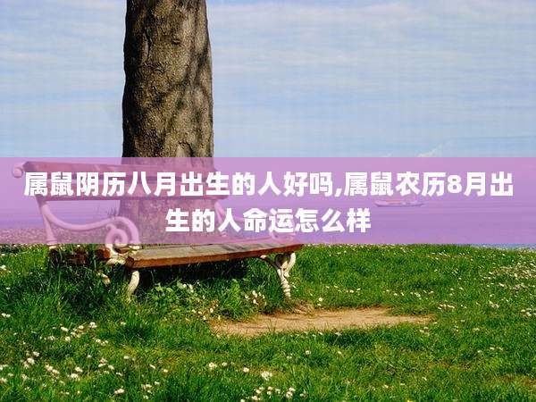 属鼠阴历八月出生的人好吗,属鼠农历8月出生的人命运怎么样