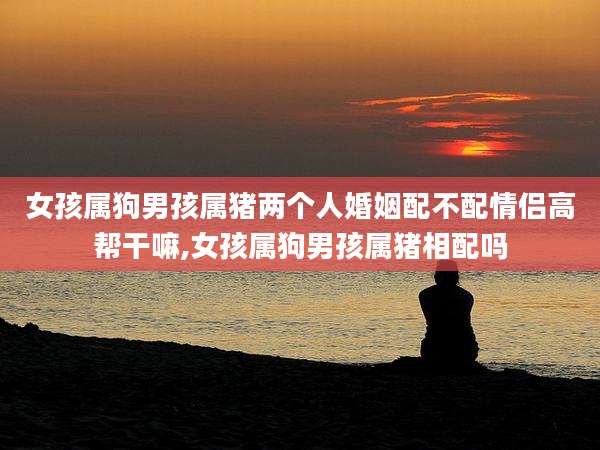 女孩属狗男孩属猪两个人婚姻配不配情侣高帮干嘛,女孩属狗男孩属猪相配吗