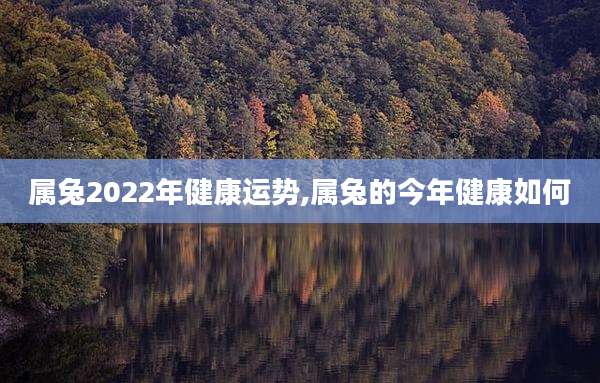 属兔2022年健康运势,属兔的今年健康如何