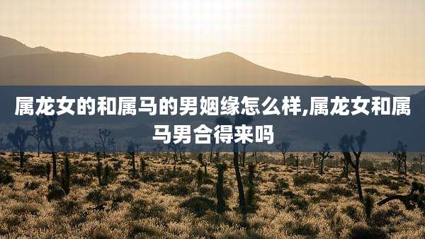 属龙女的和属马的男姻缘怎么样,属龙女和属马男合得来吗