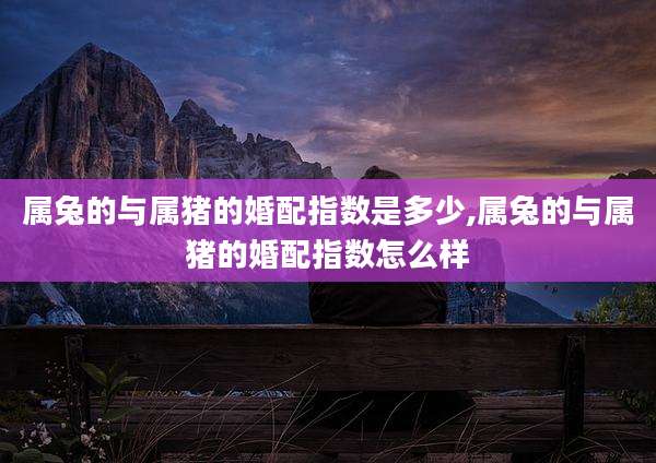 属兔的与属猪的婚配指数是多少,属兔的与属猪的婚配指数怎么样
