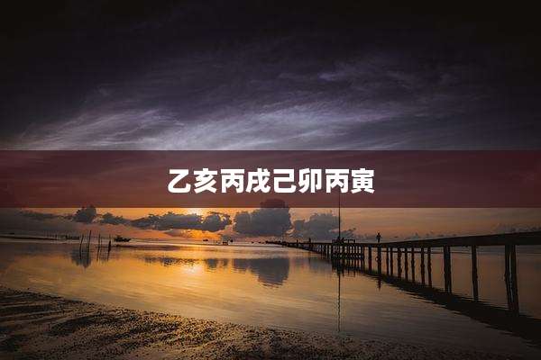 乙亥丙戌己卯丙寅