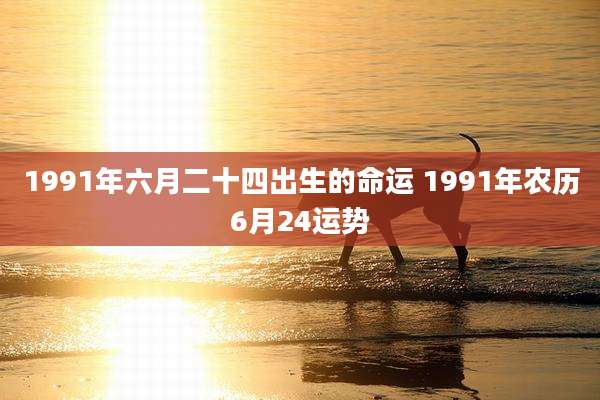1991年六月二十四出生的命运 1991年农历6月24运势